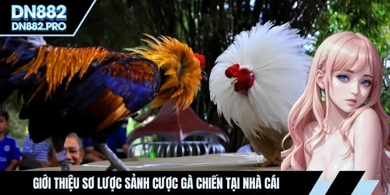 Giới thiệu sơ lược sảnh cược gà chiến tại nhà cái